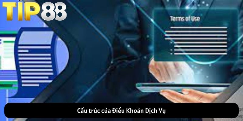 Cấu trúc của Điều Khoản Dịch Vụ
